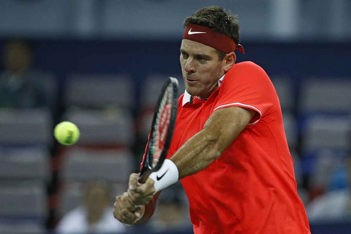 Juan Martin Del Potro