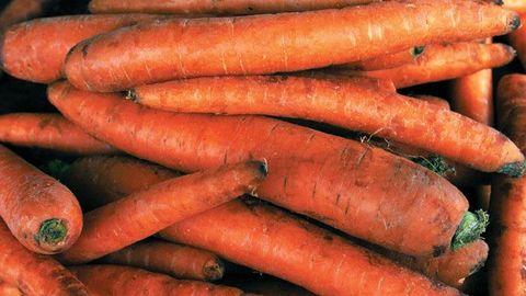 Фото: в Эстонии выросла морковь невиданной формы