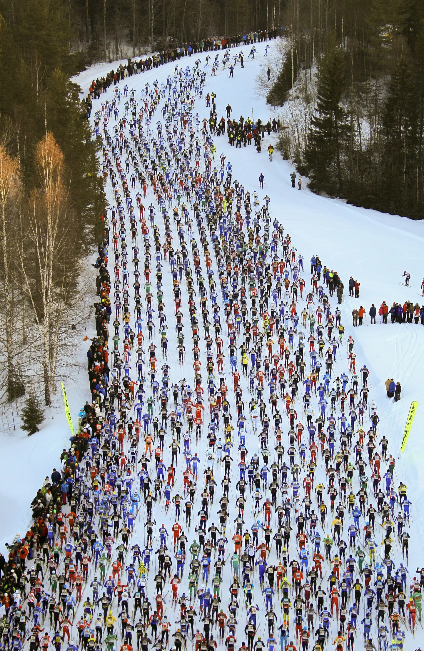 Suusamaraton.