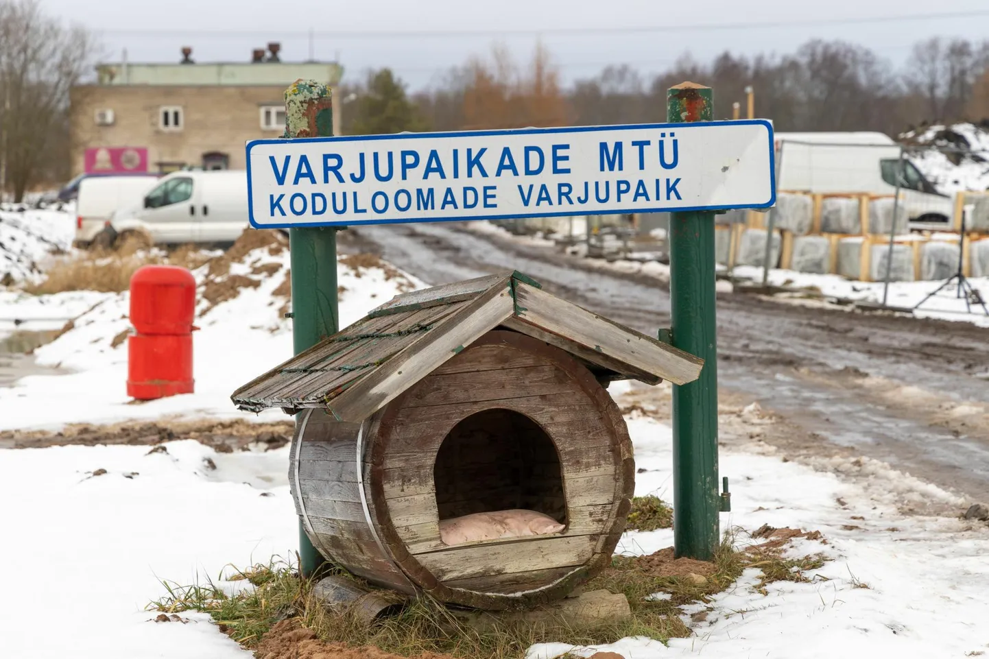 Vana aasta lõpp ja uue esimesed päevad polnud Viljandi kodutute loomade varjupaika toonud ühtegi väljakutset.