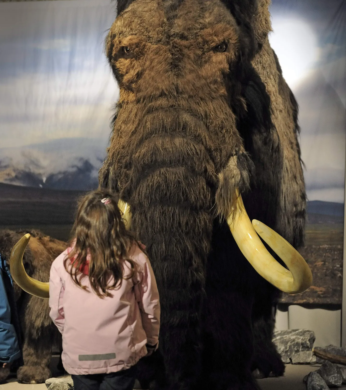 Kas jaapanlastel õnnestub ellu äratada mammut?