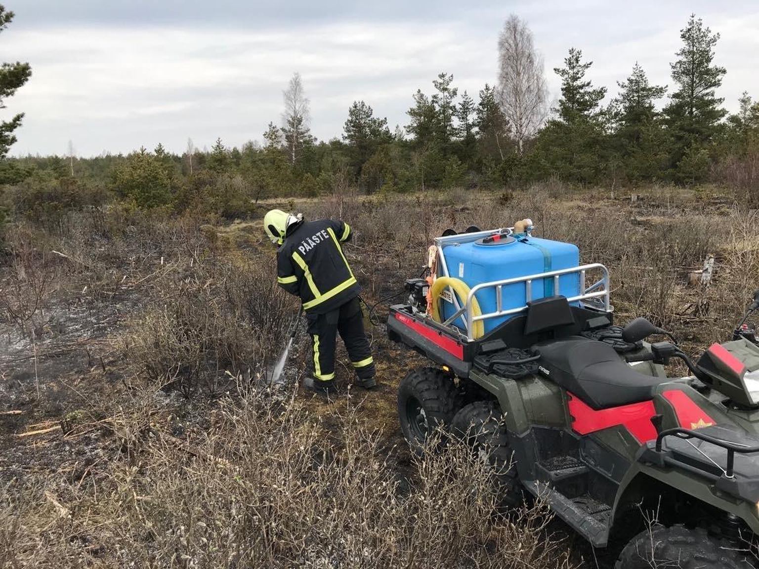 Eisvere külas põles ligemale kaks hektarit kulu.
