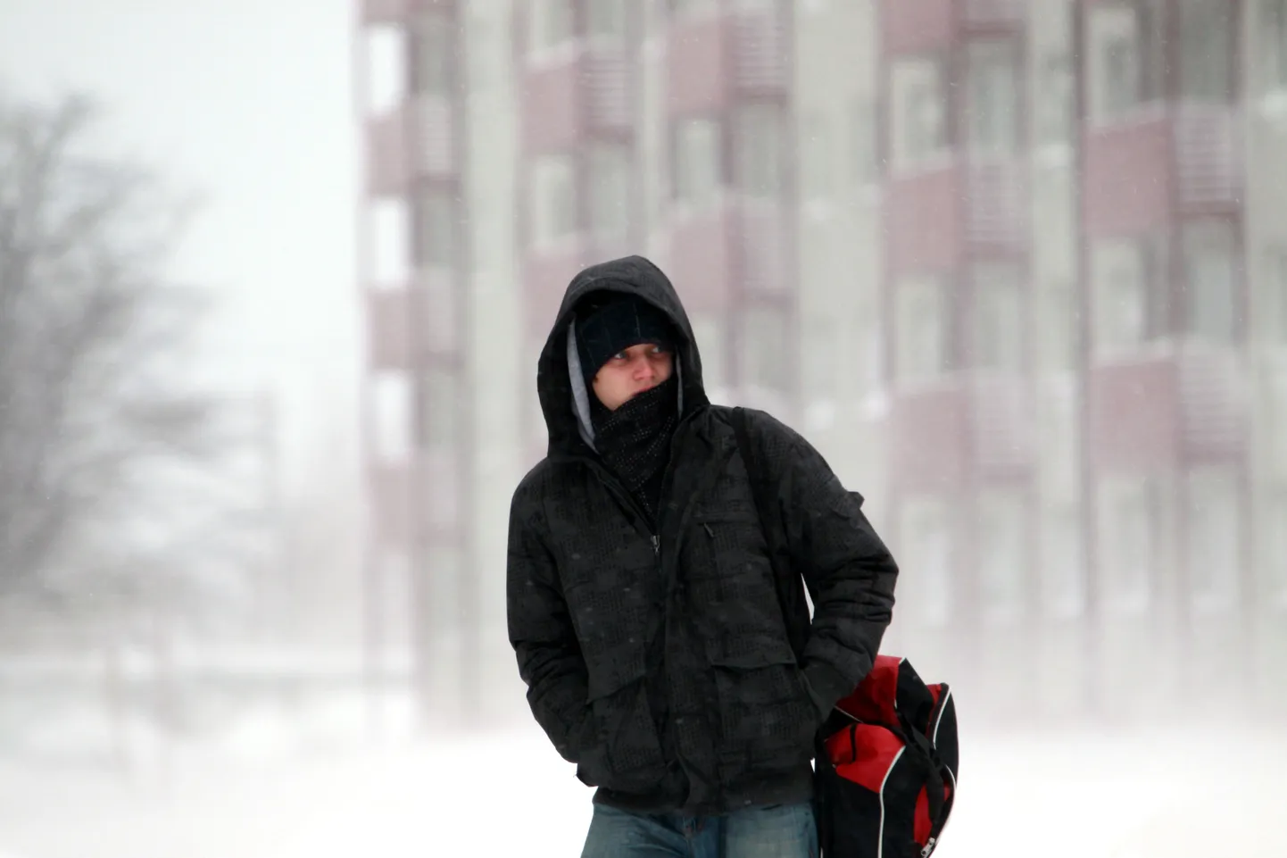 Tuisk ja lumi Tallinnas
