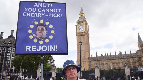 Küsitlus: ligi pooled britid toetavad Euroopa Liiduga taasühinemist