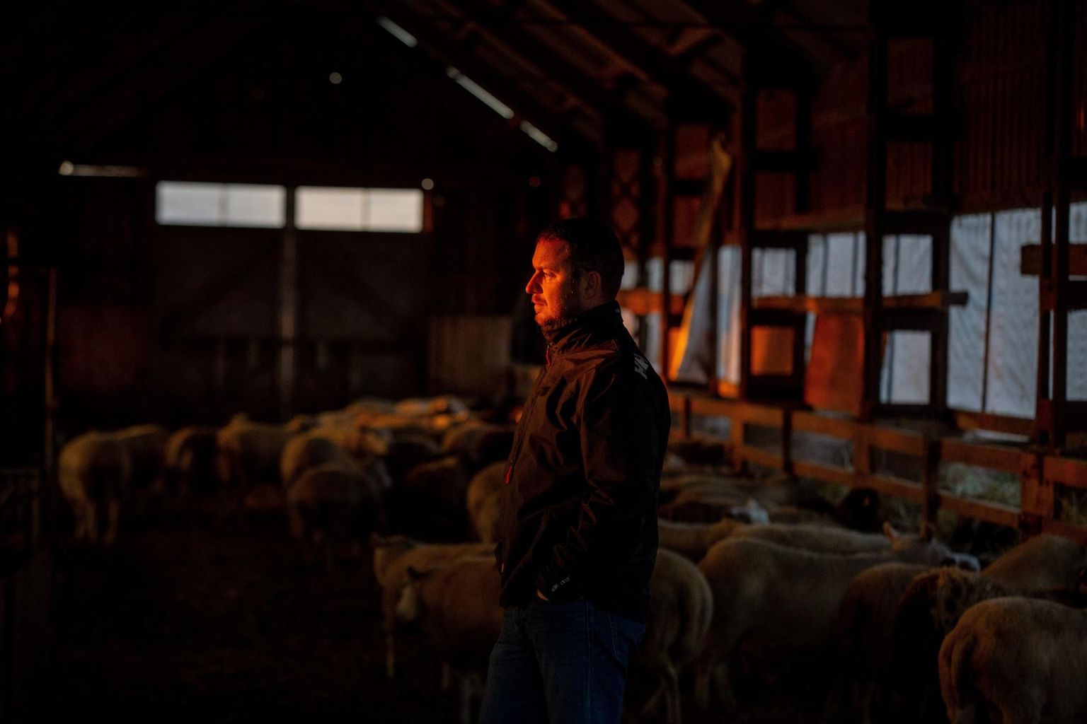Lamba- ja kitsekasvatajate liidu tegevjuht, Väike-Kareda lambakasvataja Vallo Seera on väiketapamaja välja ehitanud ja ootab riigikogult jaanuari kavandatud seadusemuudatust, mis lubaks loomapidajal lambaid kohapeal müügiks tappa ja tootjal otse tarbijale liha müüa.