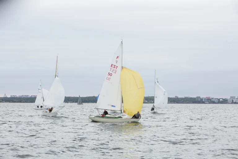 Folkboodid - Avamerepurjetamise Tallinna Meistrivõistlused lühirajal - 7.-8. septembril 2019 Kalevi Jahtklubis - SEIKO CUP 2019