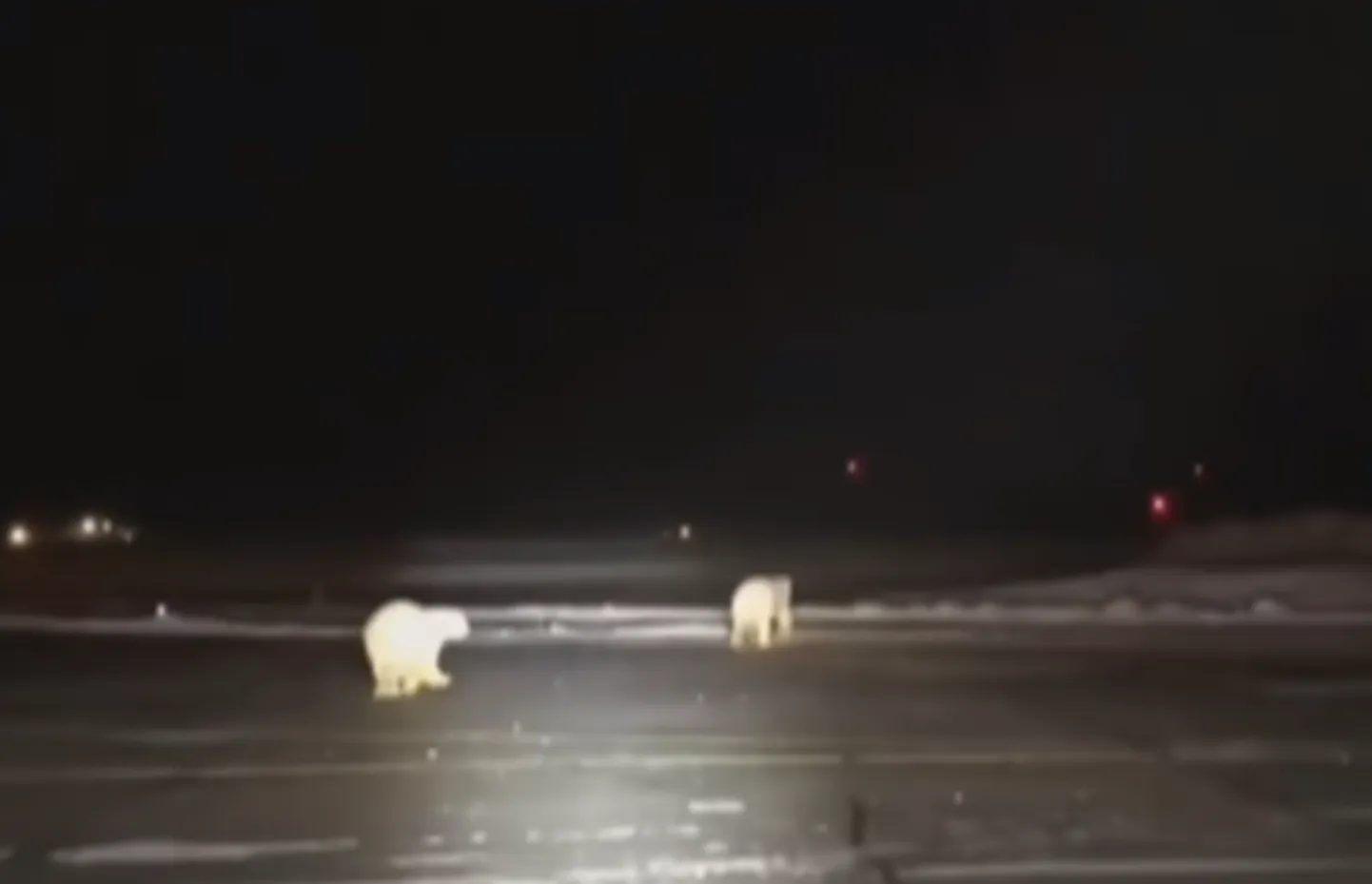 Artikli foto
