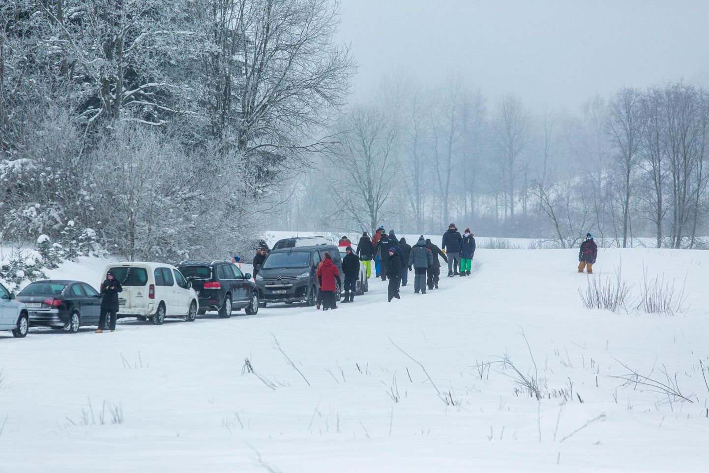 Otepää talveralli möödunud aastal – pealtvaatajad suunduvad raja äärest uut kiiruskatset vaatama.