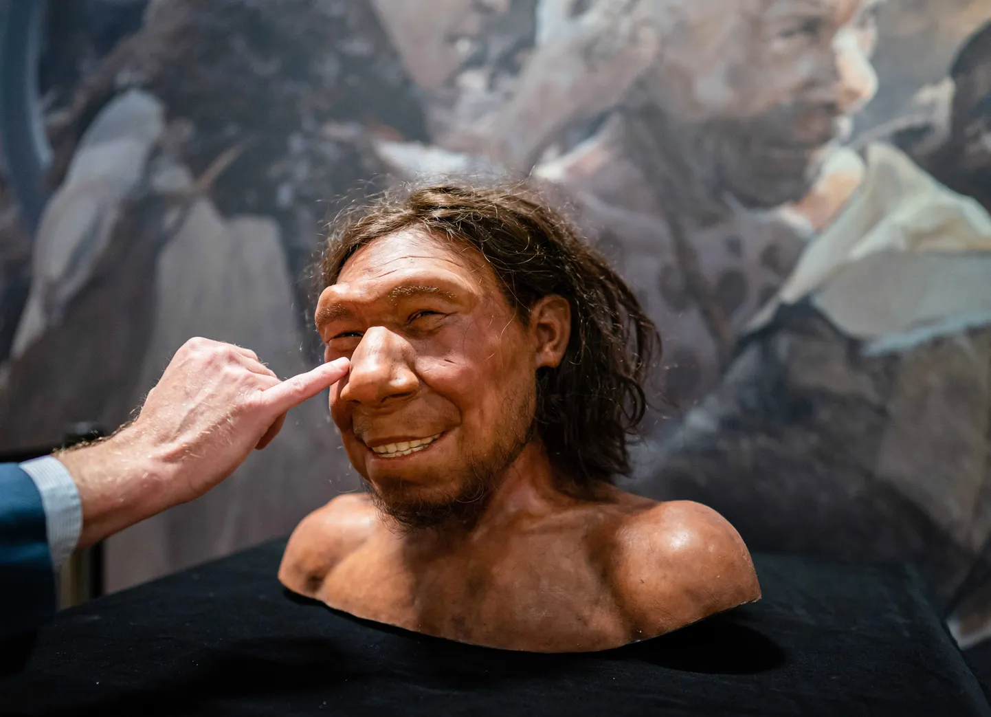 Hollandis Leidenis asuvas riiklikus antiigimuuseumis on välja pandud Madalmaade esimese neandertallase, hüüdnimega Krijn, rekonstruktsioon.