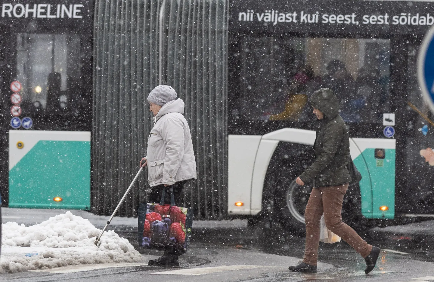 Снег в Таллинне.