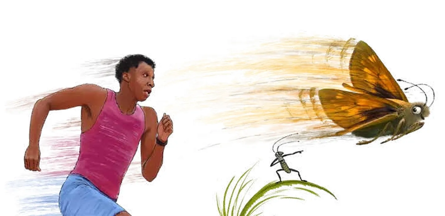 Piia Maiste illustratsioon raamatus «Miks munad kukuvad? Laps küsib, teadlane vastab».
