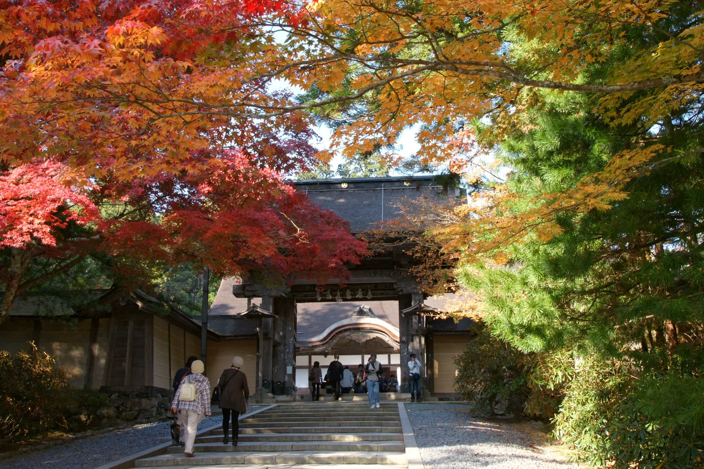 Sügisvärvid Wakayama prefektuuris.