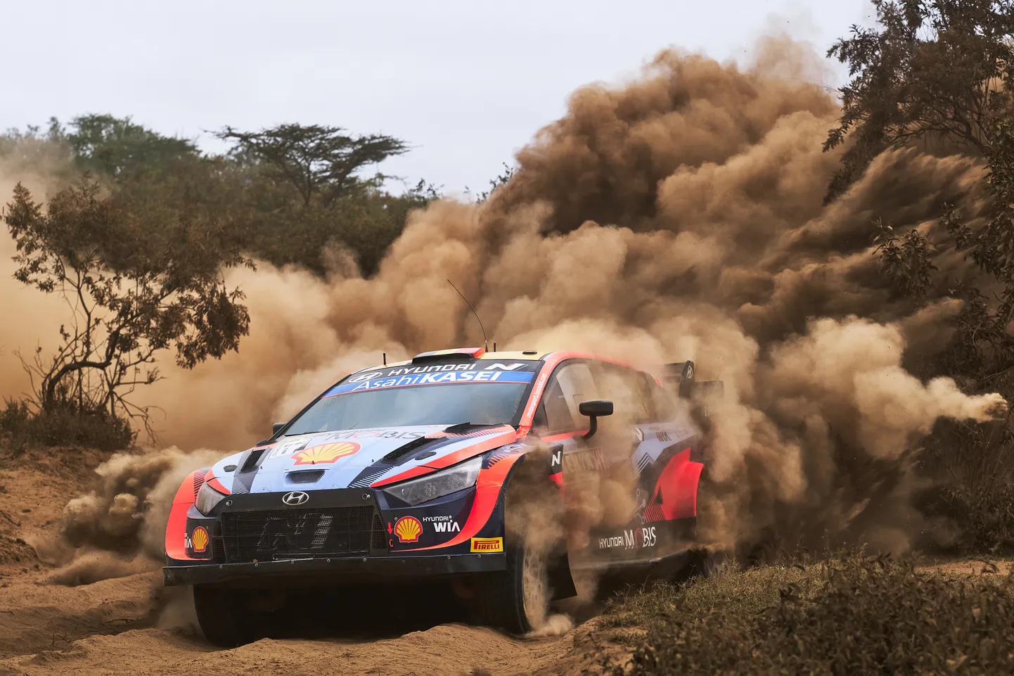 Thierry Neuville'i stiilinäide mulluselt Safari rallilt.