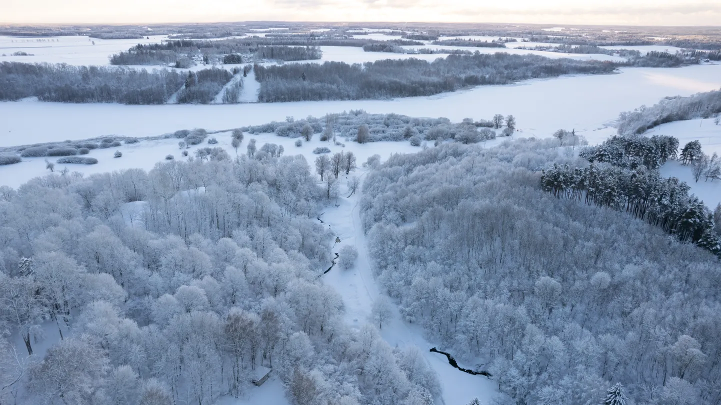 Talvine Viljandi järv. Pilt on illustratiivne.