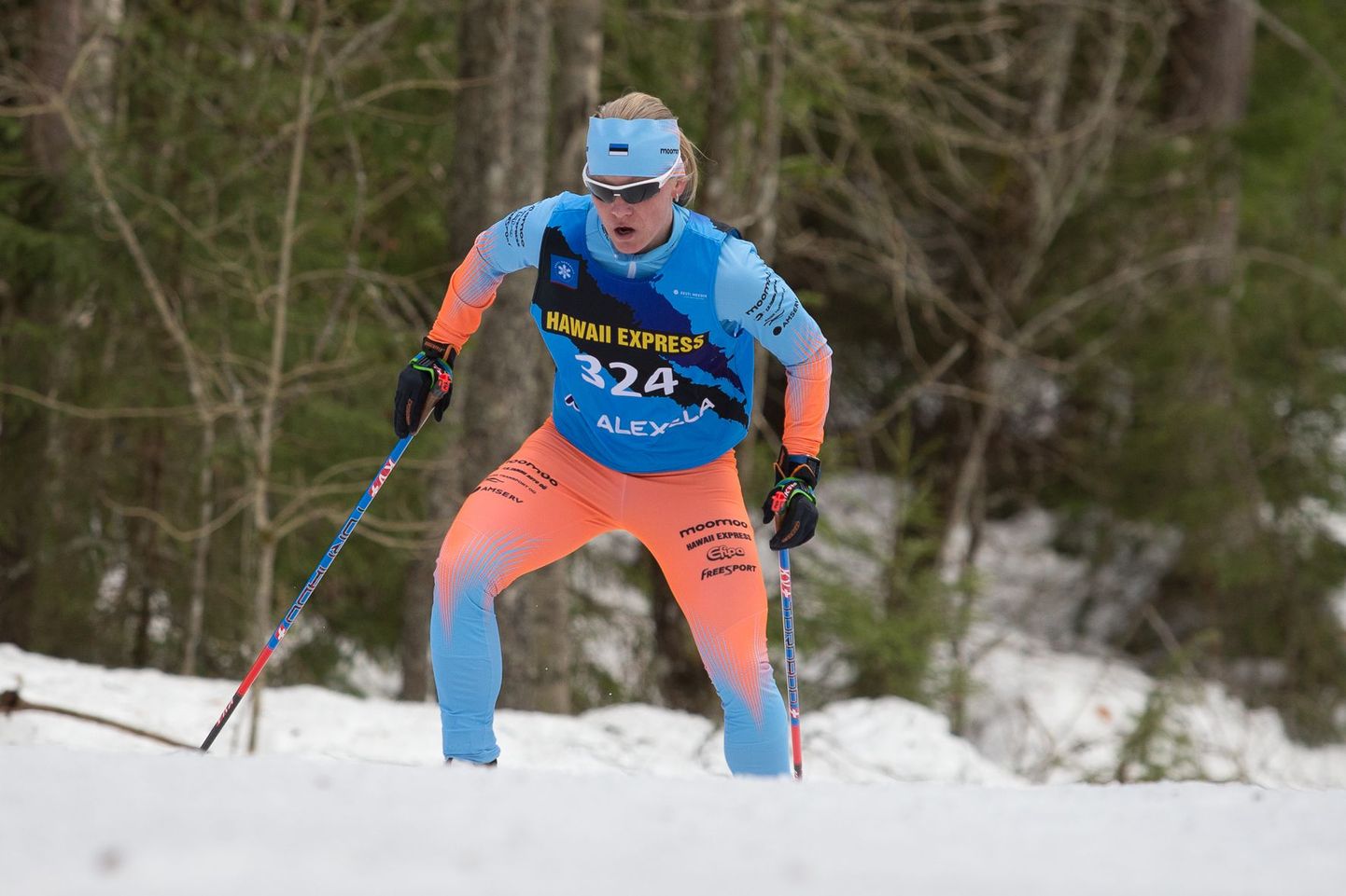 Этой зимой Татьяна Маннима доказала, что даже тренируясь на любительском уровне она способна составить серьезную конкуренцию лучшим в мире лыжникам-стайерам.