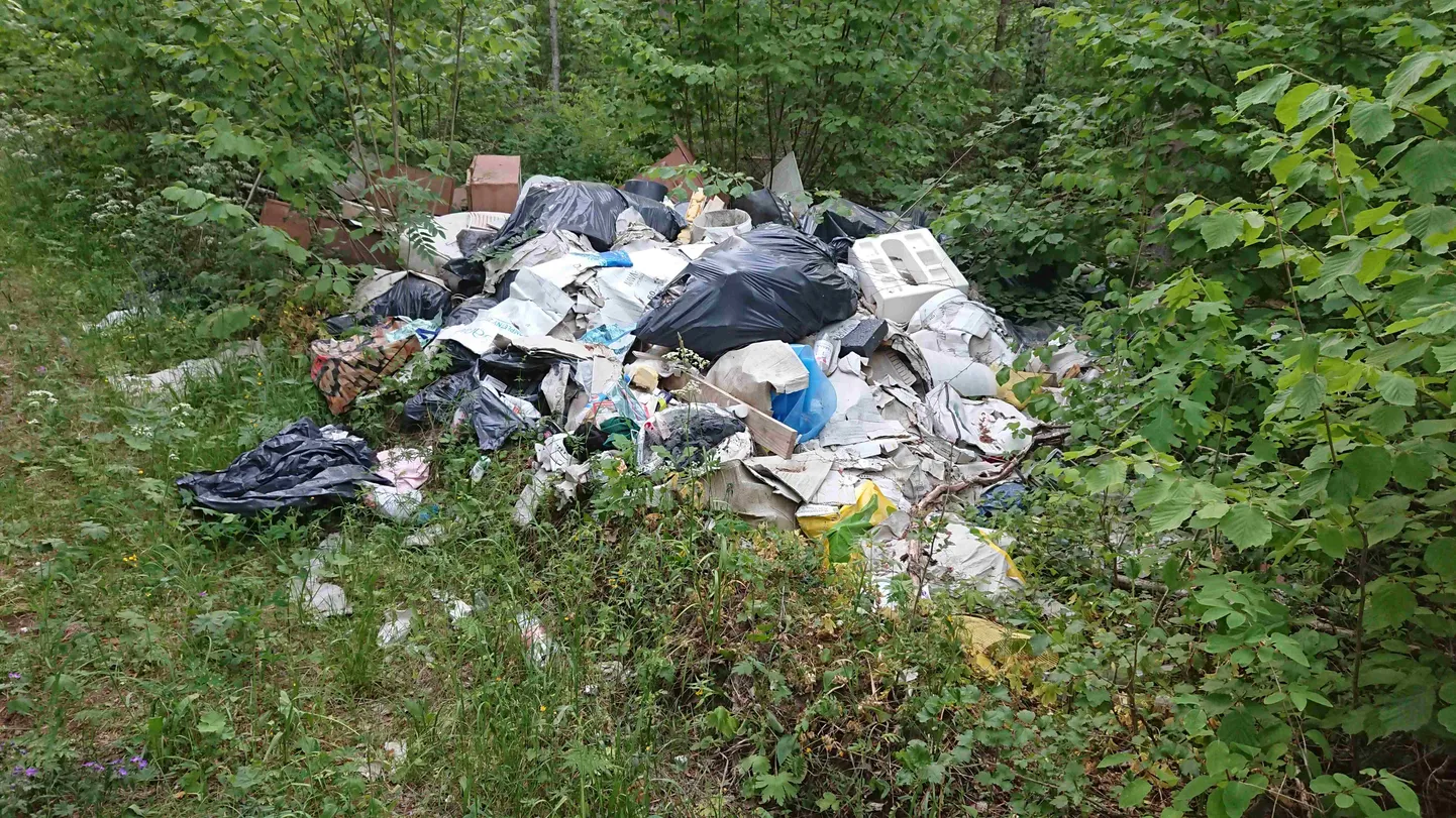 Suuremalt jaolt tuuakse metsa majapidamisest ülejäänud mööblit ja muid asju, samuti ehituse- ja remondijäätmeid, aga ka hulganisti rehve.