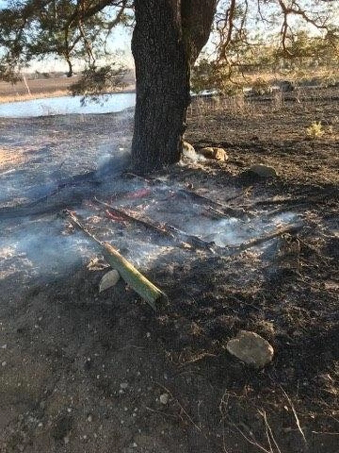Pühapäeva pärastlõunal puhkes kulupõleng Võru vallas. Päästeamet