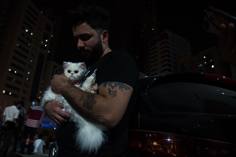 Süüria kodanik pääses tulekahjust koos oma kassi Vodkaga. 