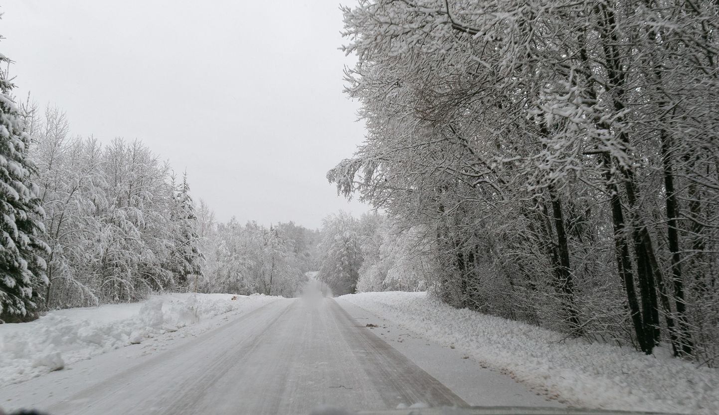 Зимняя дорога в Эстонии, снимок иллюстративный