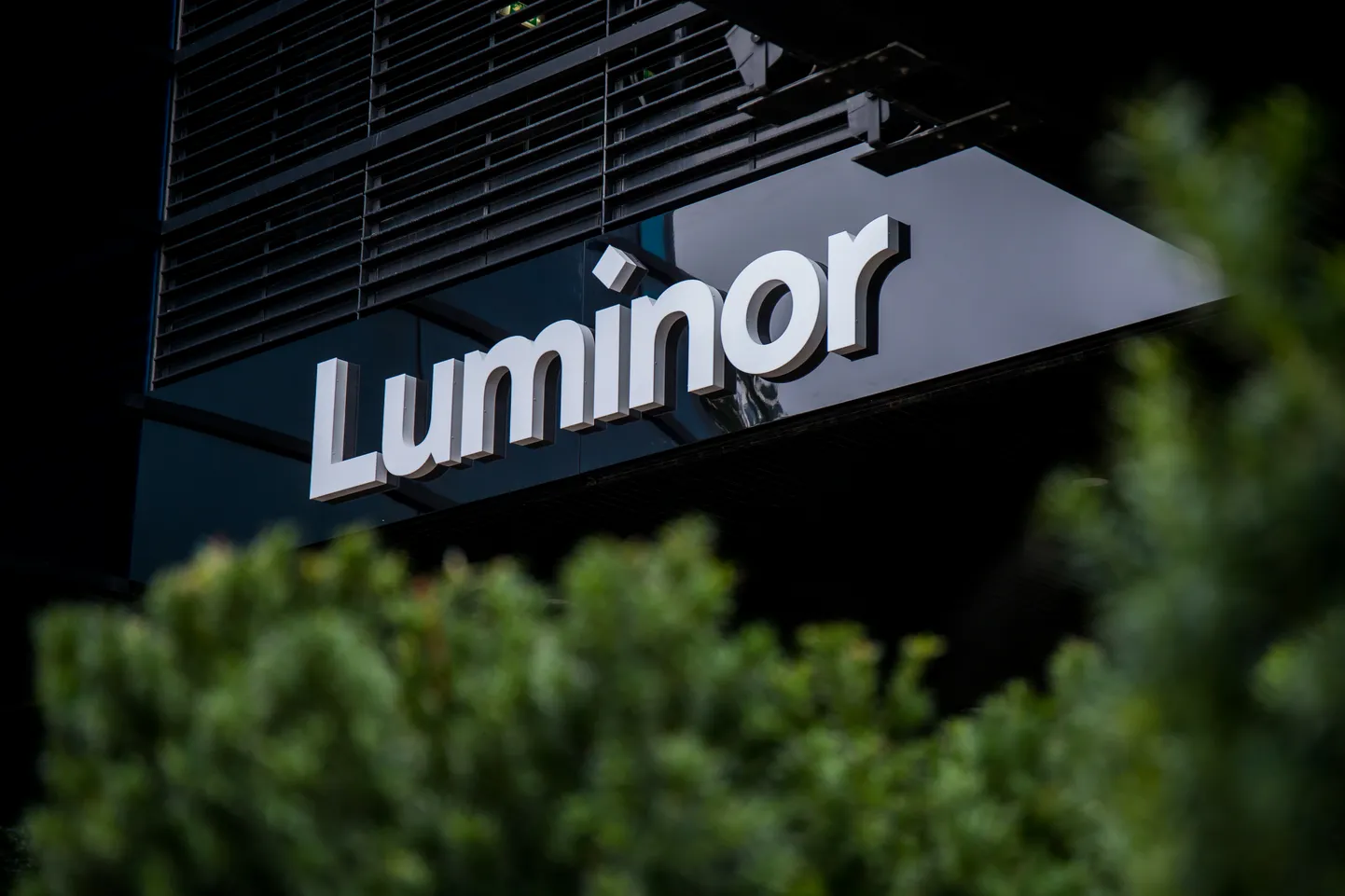 Luminor panga logo.