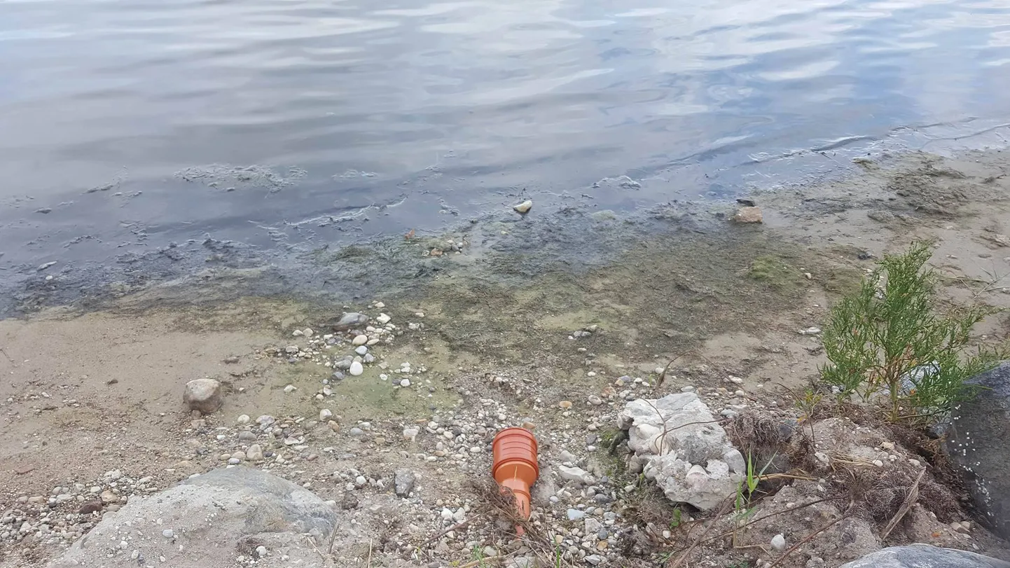 OÜ Liu Fish osas algatati väärteomenetlus seoses tootmisest tuleva solgi laskmisega Pärnu lahte.