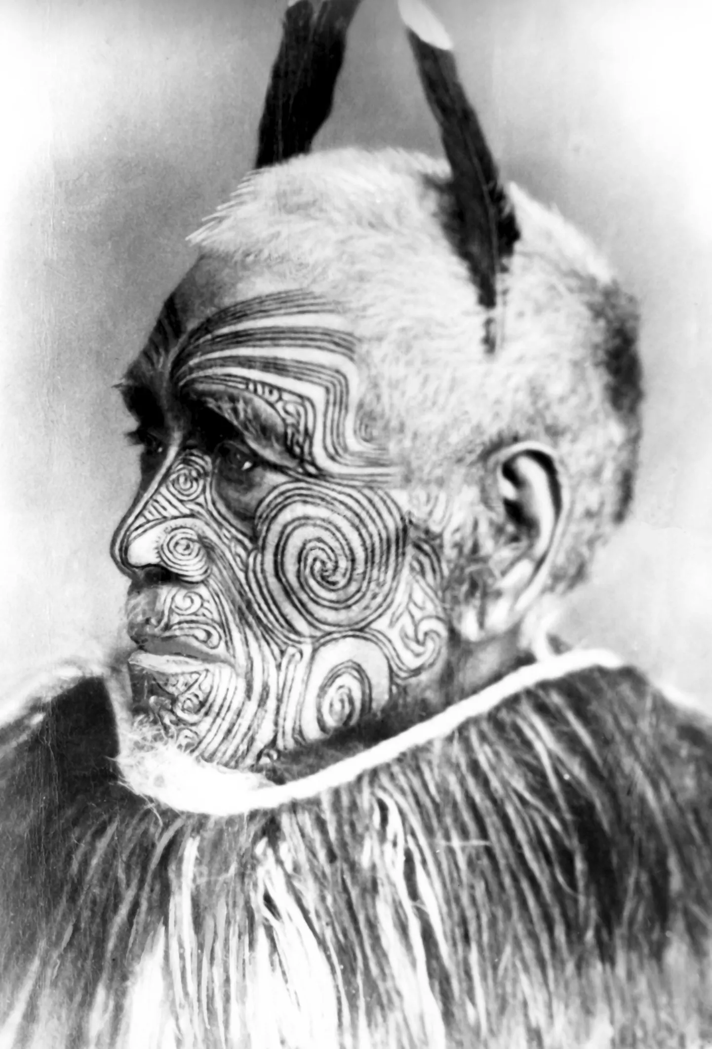 Traditsiooniliselt tätoveerisid maoorid vaid sõjapealikute nägusid, kuid kui muumiaäri õitsele lõi, hakati tätoveerima ka orjasid, et nende pead maha müüa.