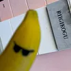 Riigikogu Banaan