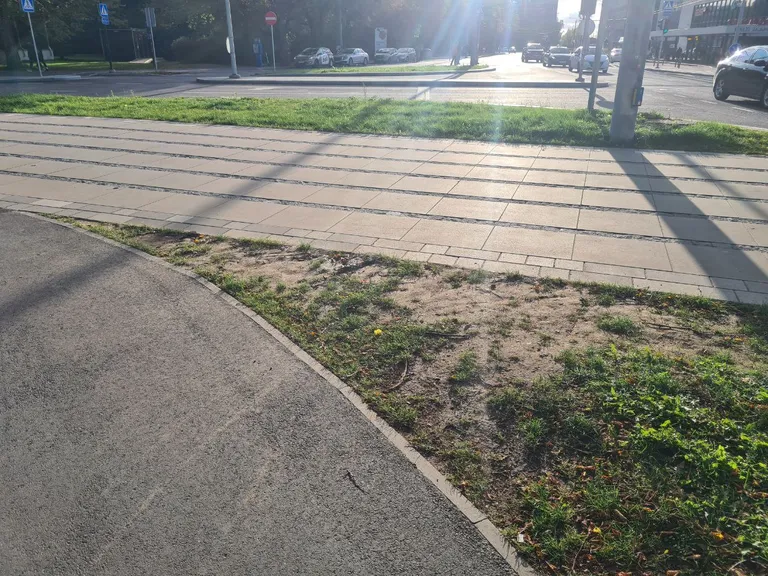 Угол газона, по которому всегда будут ходить люди.
