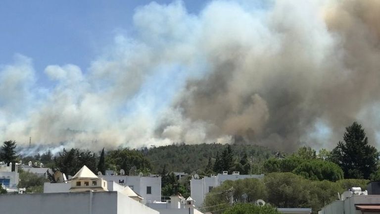 Лесные пожары угрожают отелям и жилым домам в Бодруме