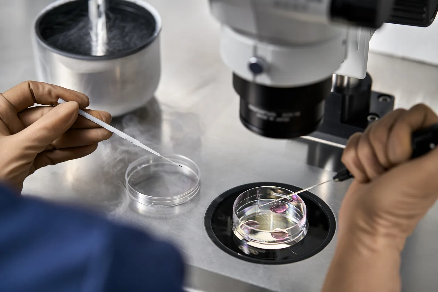 IVF (in vitro fertilizācija) process laboratorijā. Ilustratīvs foto.