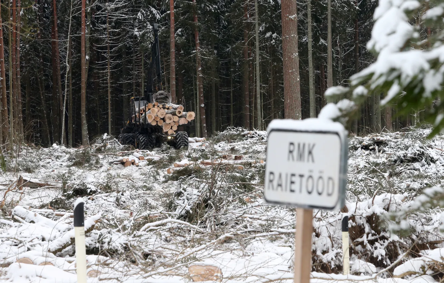 Pildil RMK raietööd Kaagveres.