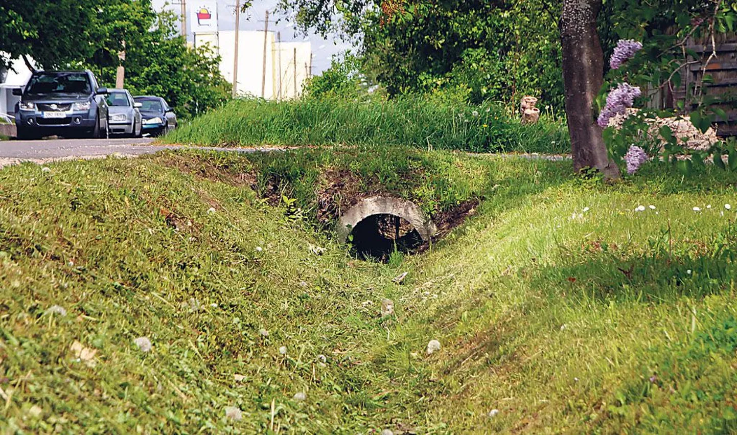 Kolme aasta eest linna poolt korda tehtud Metsa tänava äärse kraavi korrasoleku eest pole kohalik rahvas paraku eriti hoolitsenud. Ehkki sademeveed tegevat neile liiga.