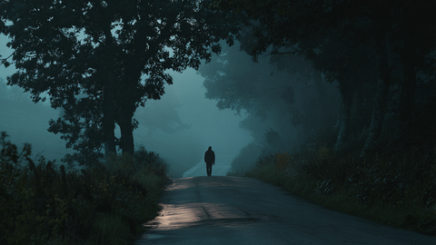 Na območju Stične pridržan moški zaradi nasilja nad partnerko