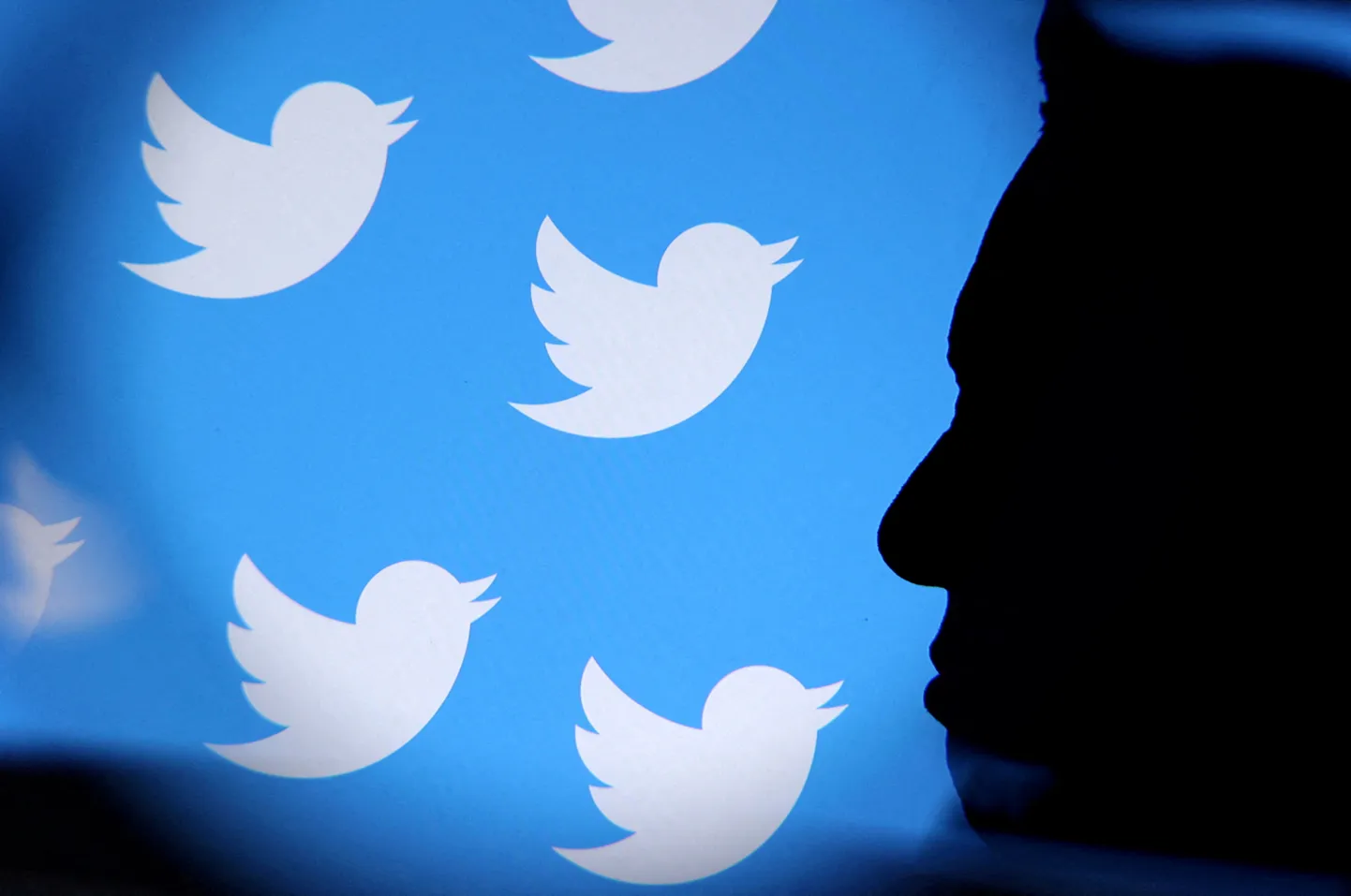 Kas Elon Musk suudab Twitteri tormi üle elada?