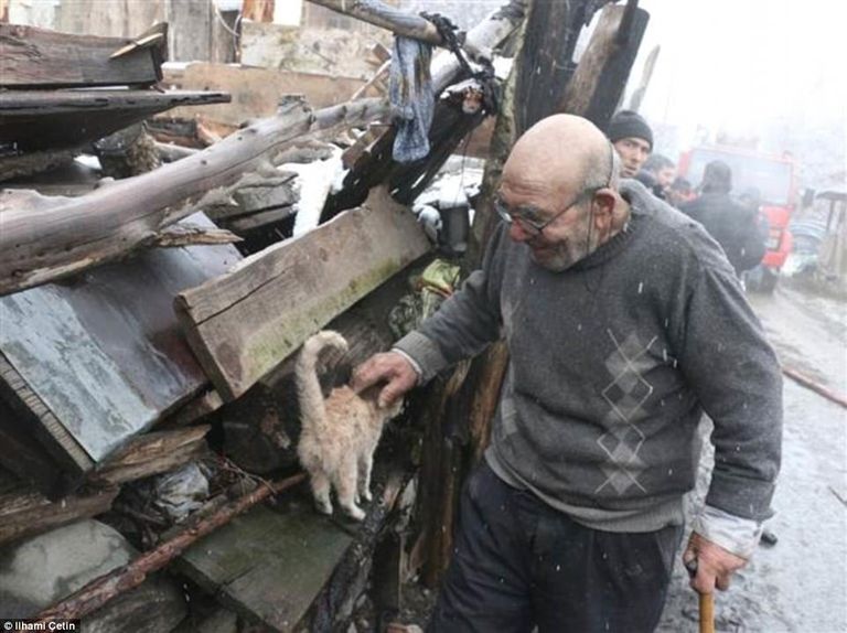 Ali Meşe ja ta kass pärast tuleõnnetust