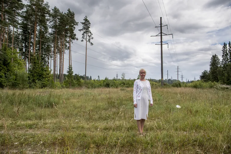 Külli Veidemann ei ole rahul, et arendajad on tema soove eirates ta maale rajanud elektriliini (vasakpoolne, madalam), mis tema hinnangul on lisaks kõigele veel ka ohtlik.