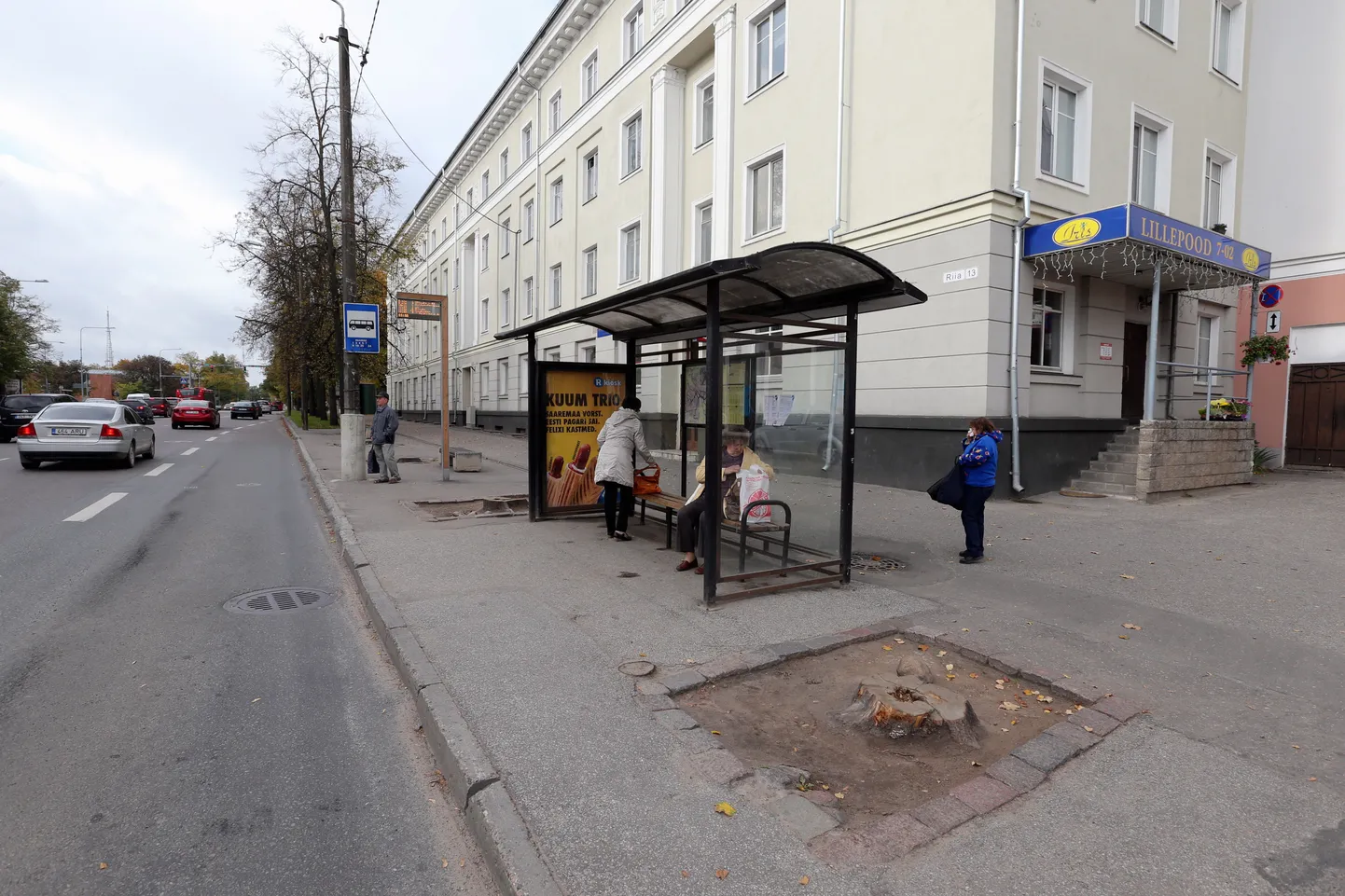 Riiamäe bussipeatuse juurest saeti maha 4 pärna.