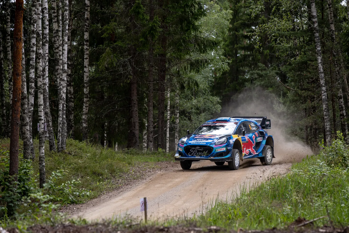 Ott Tänak