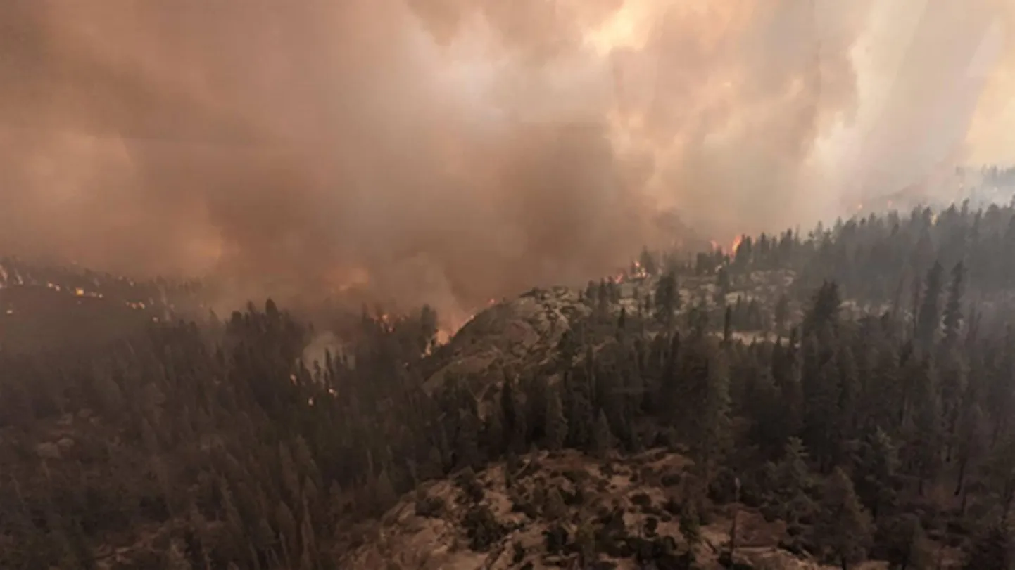 Maastikupõleng Californias laastamas sekvoiametsi.