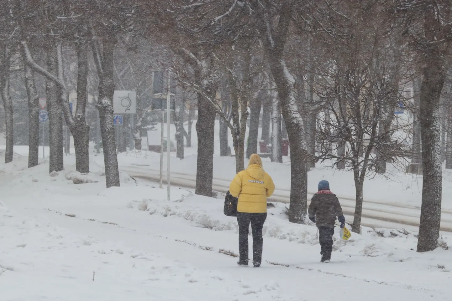Lumesadu Valga Kesk tänaval 1. aprillil.