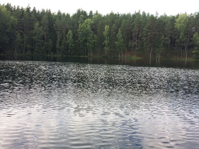 Raksta foto