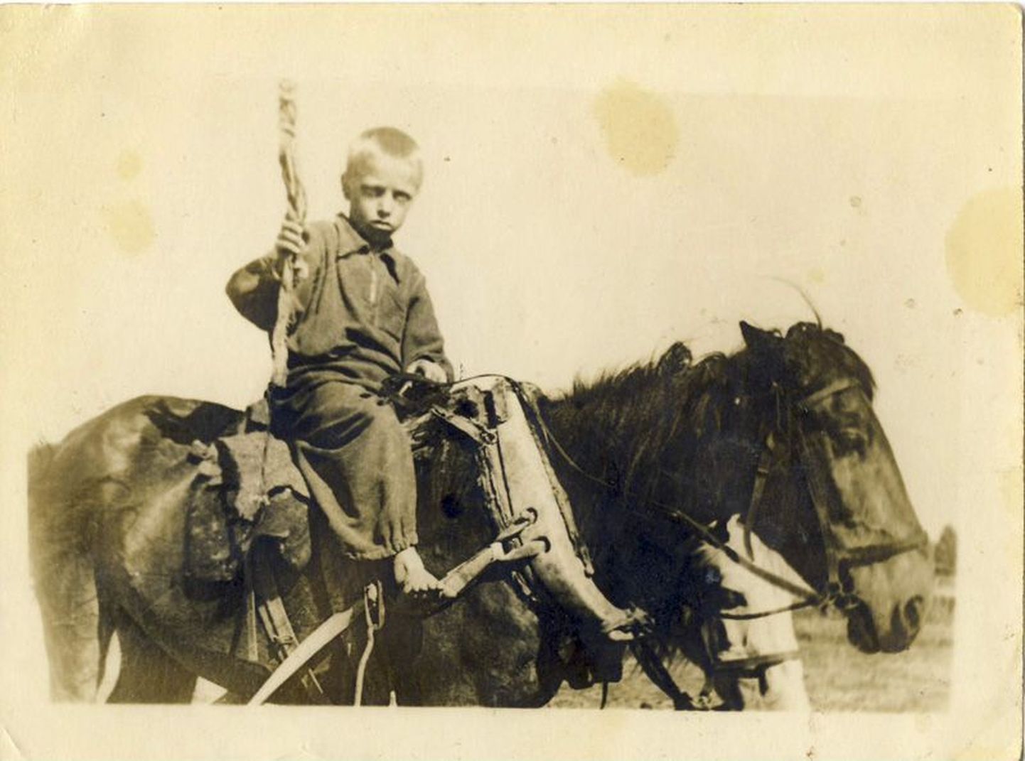 Vladimir Mürk alustas kolhoosis tööd juba poisikesena hobusega põldu harides.