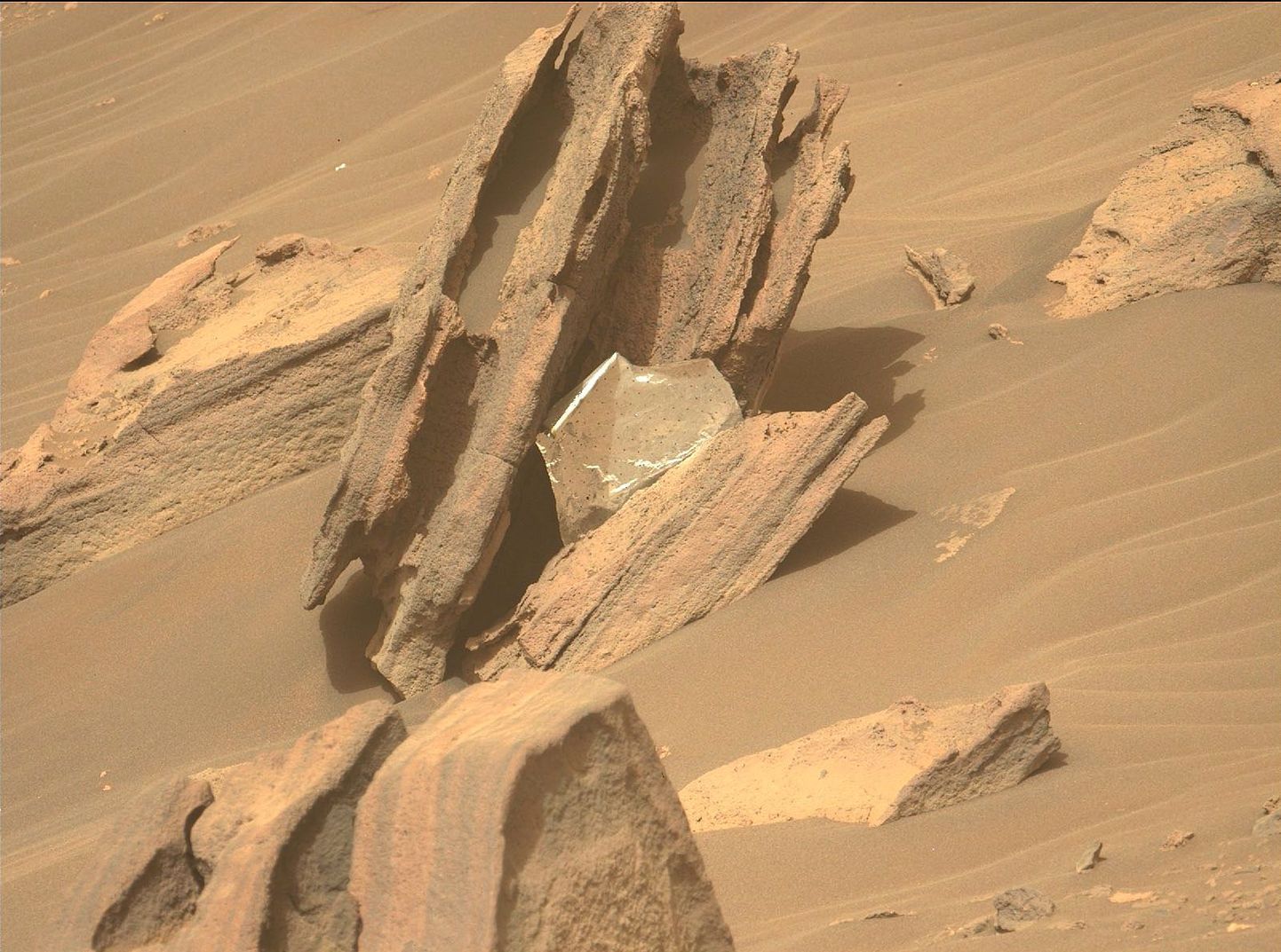 Tehislikust materjalist tükk Marsikulguri kaameras tõstis korraks nii mõnegi Marsi uuriva teadlase pulssi ja vererõhku.