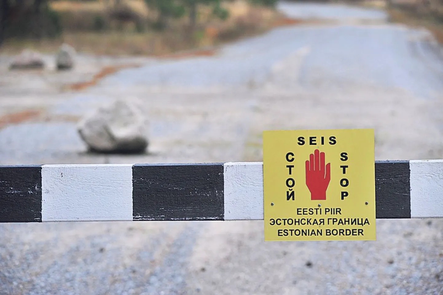 Artikli foto