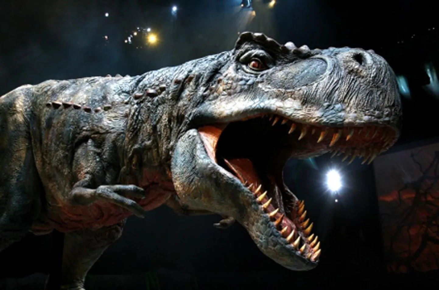 Saku Suurhallis näeb elusuuruste dinosauruste showd.