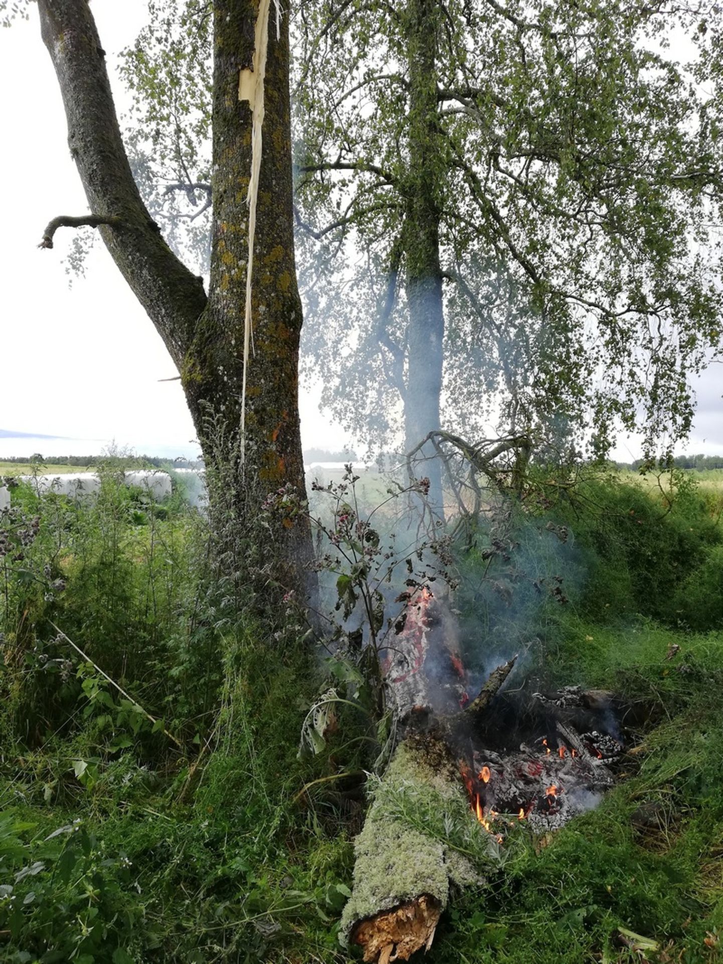 Valgamaal Vilaski külas süütas äike puu, mis süütas lamava puu, mis süütas omakorda maas vedeleva rehvi.