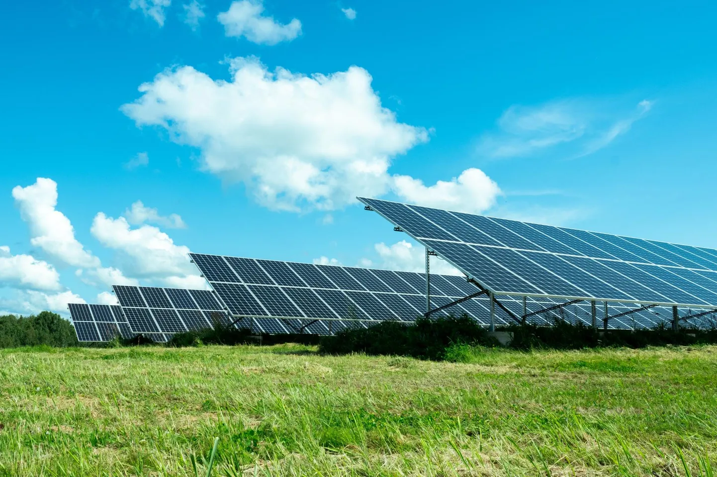 Pärnu linnavalitsus ei poolda päikeseenergiajaama püstitamist maalilisse kalurikülla.