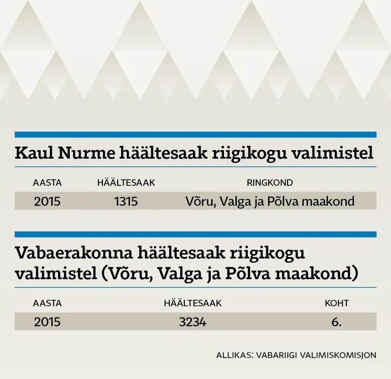 Häältesaak riigikogu valimistel.