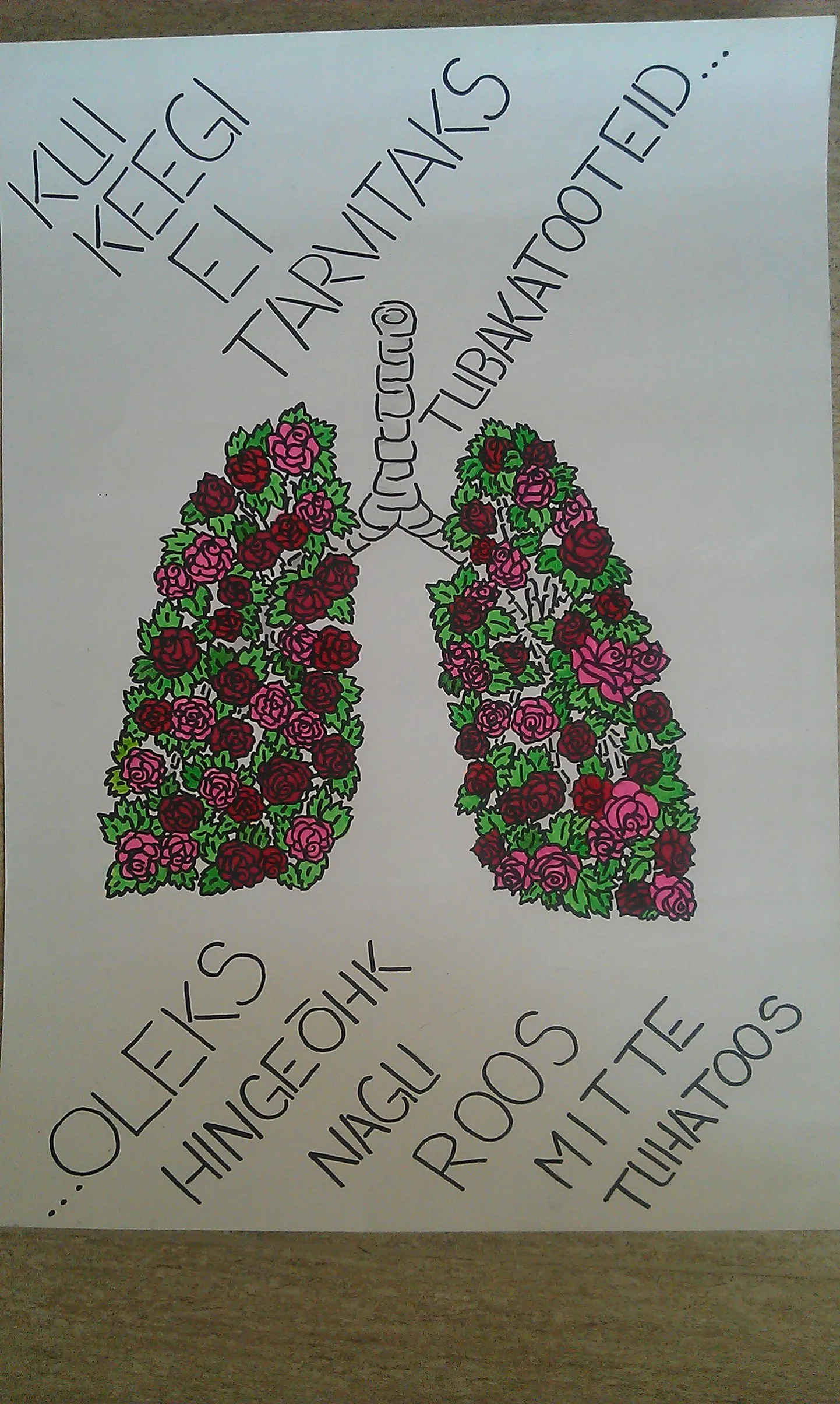 Aravete keskkooli 11. klassi plakat