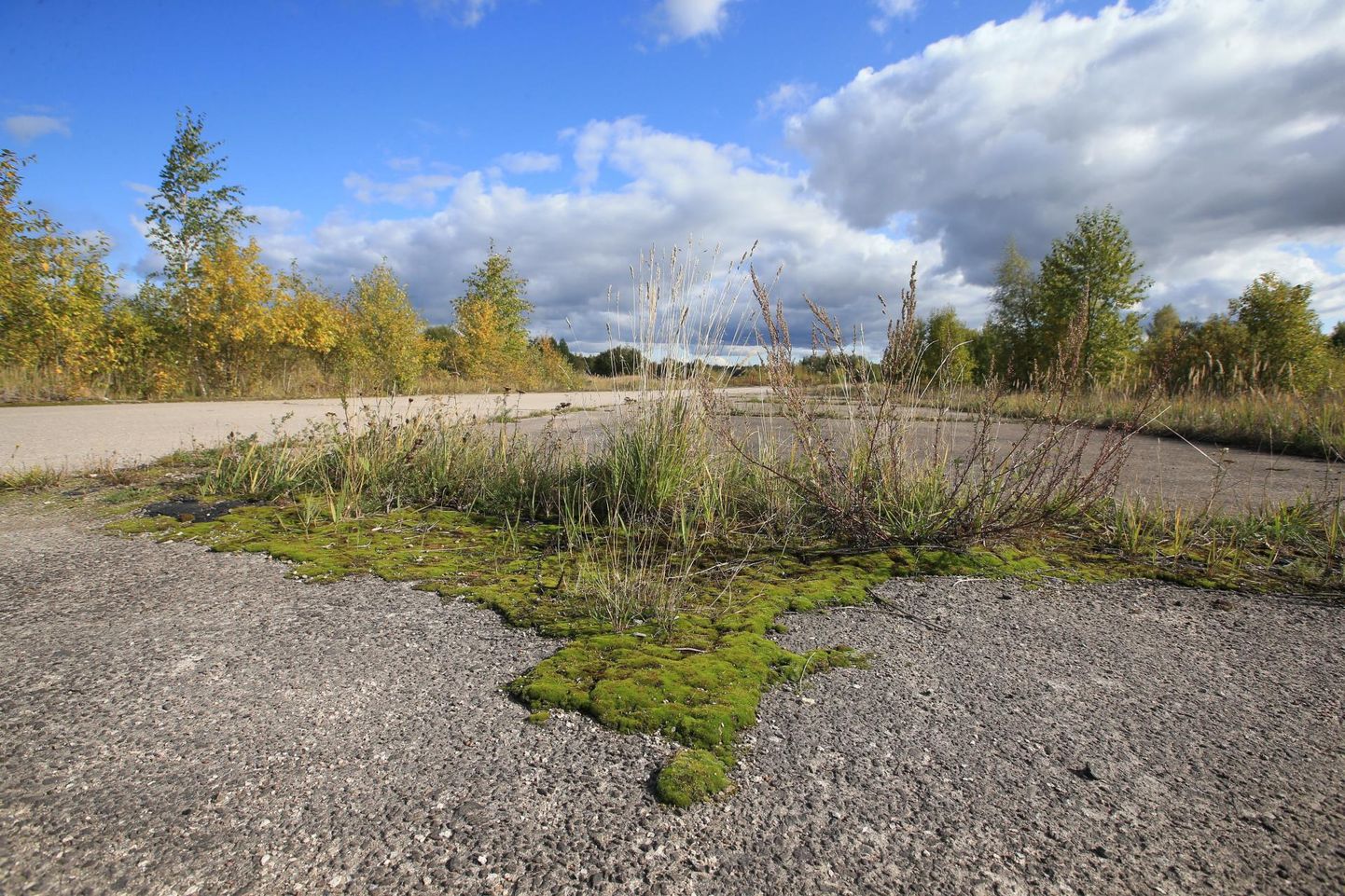 Suurem osa Raadi vanast sõjalennuväljast on 1992. aastast kasutuseta seisnud. Tartu vald soovib konkursiga endise ruleerimisraja ehk nüüd Ermi nime kandvale tänavale leida uut väljanägemist.